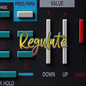 Picture for song 'Regulate' by artist 'Anac On The Beat'