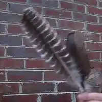 Picture for song 'Cherokee Heart' by artist 'Barry Bailey Roaring Mouse'