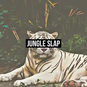 Picture for song 'JUNGLE SLAP (Buy 1 Get 4 FREE)' by artist 'BDunnMusic'