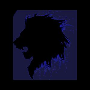 Picture for song 'New York radio freestyle black Lyon beat' by artist 'black lyon'