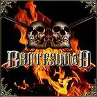 Picture for song 'Dirty Desert Hardcore' by artist 'Brute Squad'