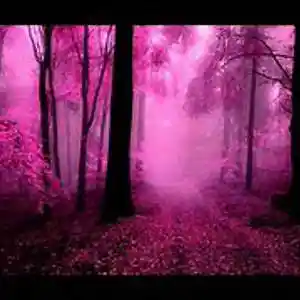 Picture for song 'THE TIME IS NOW' by artist 'DRAIKBEATS'