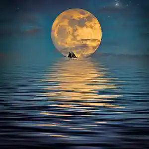 Picture for song 'Moonlight Shines (Instrumental)' by artist 'Denzlo'