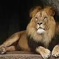 Picture for song '01 Avant Garde' by artist 'Gavin Baker'