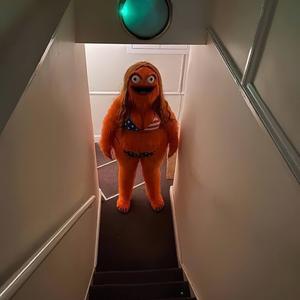 Picture for song 'TOXIC (Buy 1 get 2 FREE)' by artist 'Jorginho B'