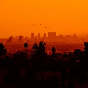 Picture for song 'No Time *LIVE RHODES*' by artist 'Andymatt'