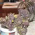 Picture for song '**NEW** Weed Loud' by artist 'LDV Beats'