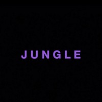 Picture for song '(NEW) Jungle' by artist 'LEXI BANKS'