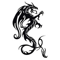 Picture for song 'We are Dragon' by artist 'Lyle Music'