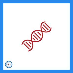 Picture for song 'DNA' by artist 'MITTEL'