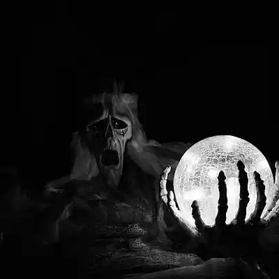 cover pic