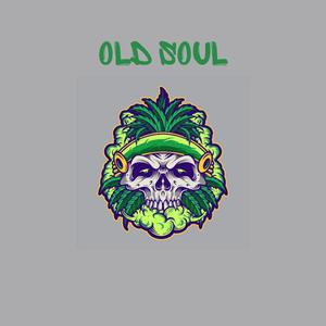 Picture for song 'Old Soul - Classic 90s Boom Bap Beat 2021 2022' by artist 'Rojoz'