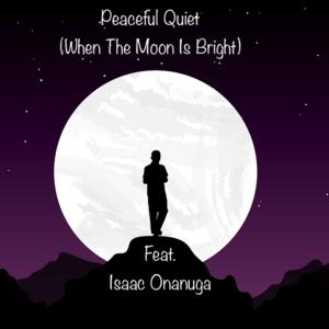Picture for song 'Peaceful Quiet (When The Moon Is Bright) [feat. Is' by artist 'Round The Globe'
