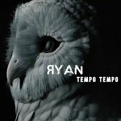 Picture for song 'Tempo Tempo' by artist 'Ryan'