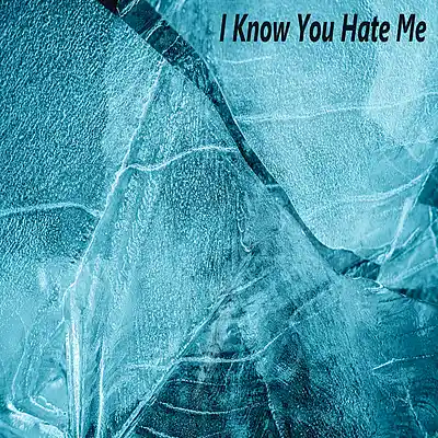 Picture for song 'I Know You Hate Me' by artist 'Sean Ferree'