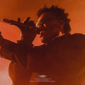 Picture for song 'Sentimental - Baby Keem [BUY 1 GET 1 FREE]' by artist 'SIGHOST'