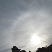 Picture for song 'RadioRoses with Hollywood Legends' by artist 'SoulSearch'