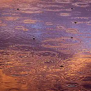 Picture for song 'Raindrops' by artist 'Spyro Lab'