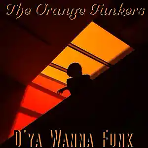Picture for song 'D'ya Wanna Funk' by artist 'The Orange Funkers'