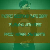 Picture for song 'Playing With Fire' by artist 'Versa Jay Beats'