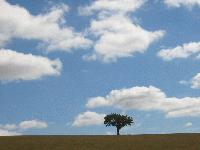 Picture for song 'un joli reve' by artist '109 Pour La Rime'