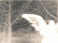 Picture for song '10sean - Last Call' by artist '10sean'