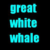 Picture for song 'Great White Whale' by artist '13 in July'