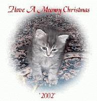 Picture for song 'ambers not crazy (yes she is)' by artist '14 Seconds'