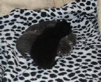 Picture for song 'compton ain't just a street bi***, it's where im f' by artist '14 Seconds'