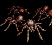 Picture for song 'So Many' by artist '1Asphalt'