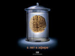 Picture for song 'Speak Mind' by artist '1 FrontLine 1'