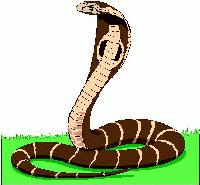 Picture for song 'Cobras' by artist '200 proof beats'