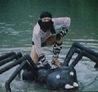Picture for song 'Ninjas on Wharf Street' by artist '200 proof beats'