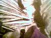 Picture for song 'TO: TWIZZ' by artist '211 RECORDZ'