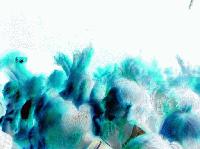 Picture for song 'Save Your Fame' by artist '27s AT NOON'