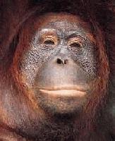 Picture for song 'Cant get enough' by artist '2CU'