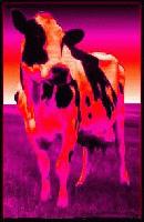 Picture for song 'Please!' by artist '2hd'