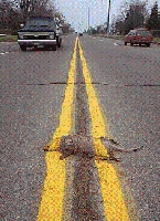 Picture for song 'Run It Up!' by artist '2hd'