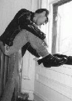 Picture for song 'Brave New Global Girl' by artist '2loose'