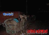 Picture for song '2ManCrowed-osveta' by artist '2ManCrowed'