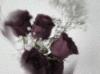 Picture for song 'Time To Let Go' by artist '2SLOW'