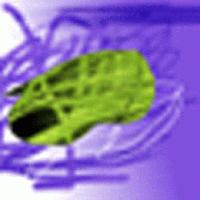 Picture for song 'Hello Mr Cockroach' by artist '2T'