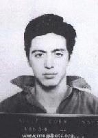 Picture for song 'jibberish' by artist '305 Tribe'