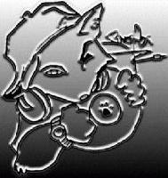 Picture for song 'Tipsy - Fox Remix' by artist '3-5 Playa'