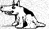 Picture for song 'Walk the dog' by artist '3Daddys'