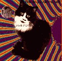 Picture for song 'Back to Betelgeuse' by artist '3 hole PUNCH'