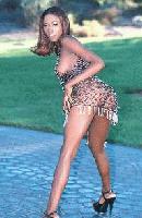 Picture for song 'Ass Showin' by artist '3rd Coast Tycoons'