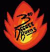 Picture for song 'Genius In The Making' by artist '3rd Degree Burns'