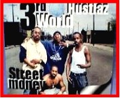 Picture for song '3rd ON A MISSION' by artist '3rd World Hustlaz'