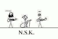 Picture for song 'N.S.K.' by artist '3 Towns Long'